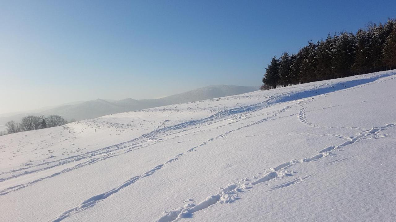 Agroturystyka Corno Owca Zabnica Extérieur photo