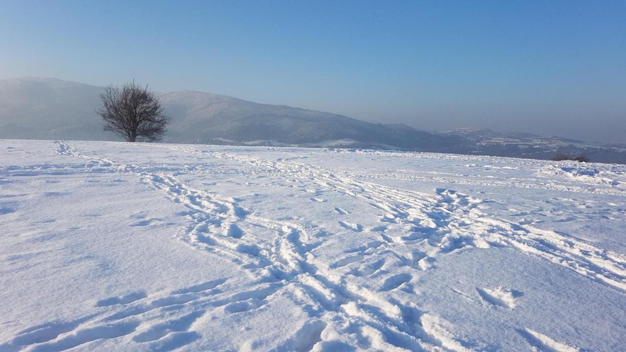 Agroturystyka Corno Owca Zabnica Extérieur photo