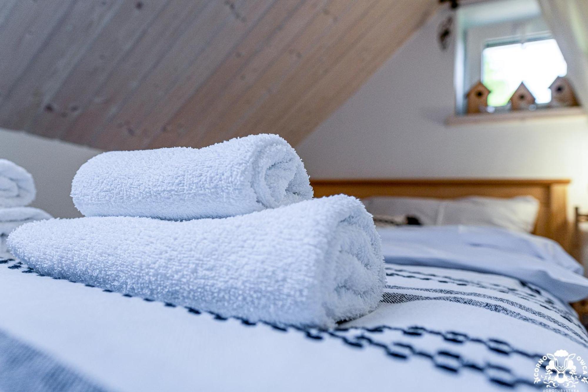 Agroturystyka Corno Owca Zabnica Chambre photo